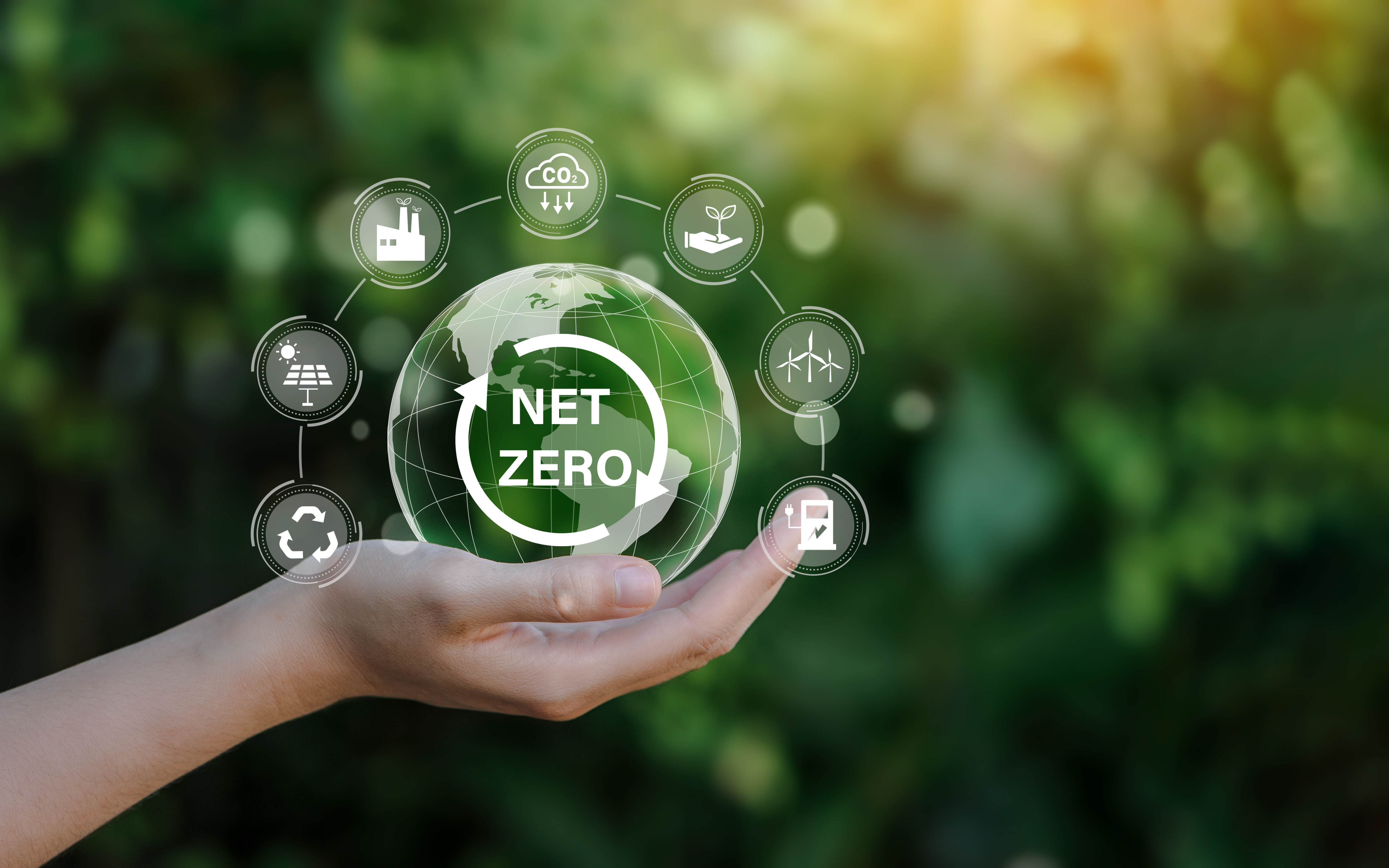 Net Zero logo surrounded by images of green energy symbols 