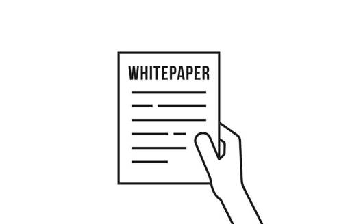 Insights BTOM Whitepaper