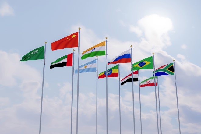 BRICS Flags