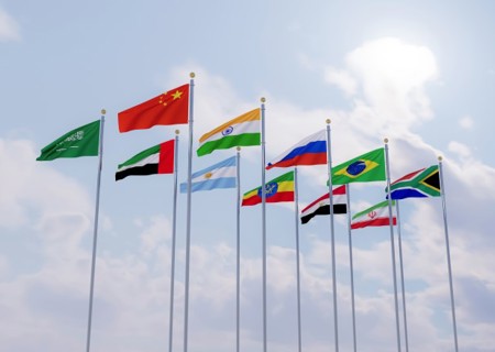 BRICS Flags