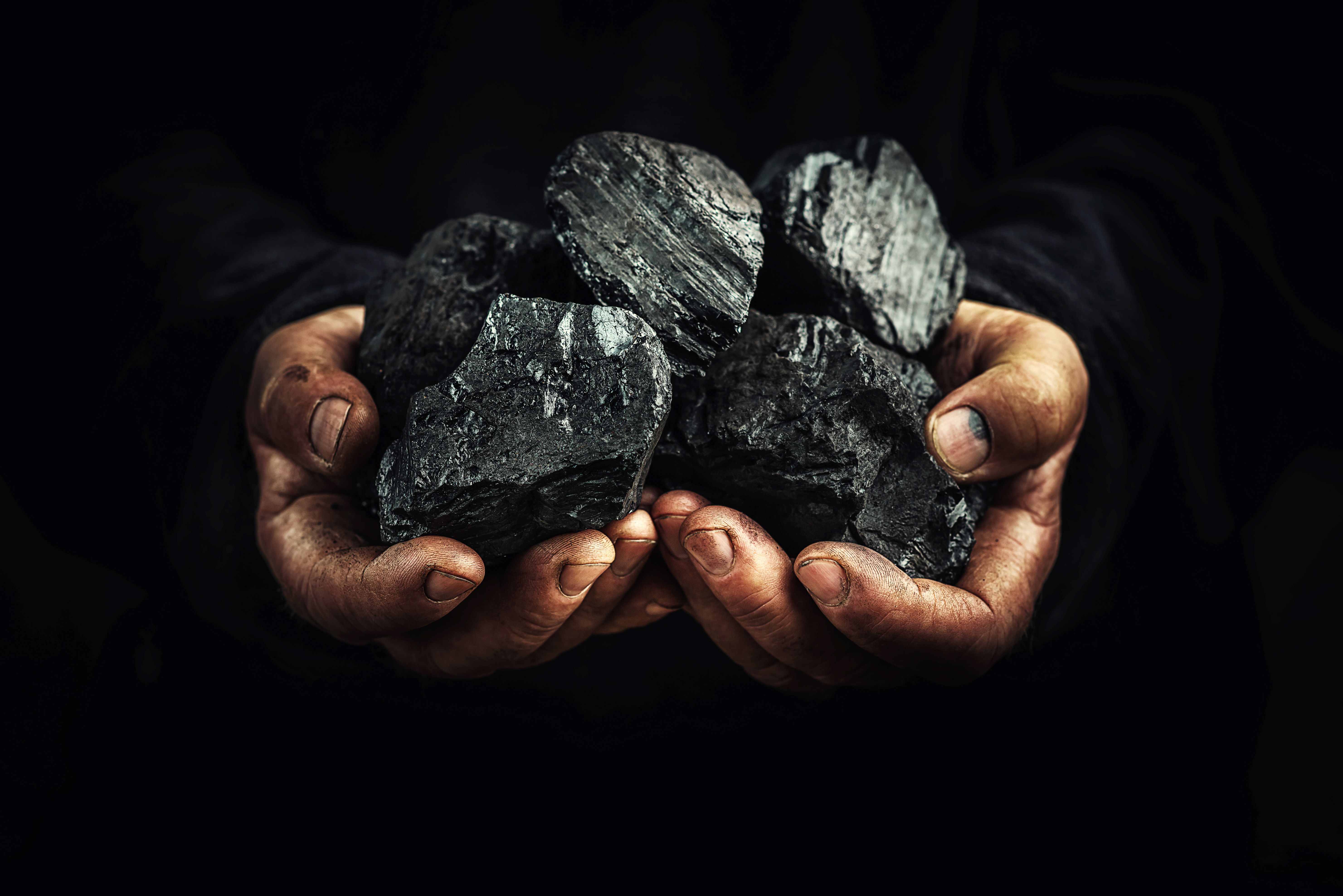 Lumps of coal being held in hands 