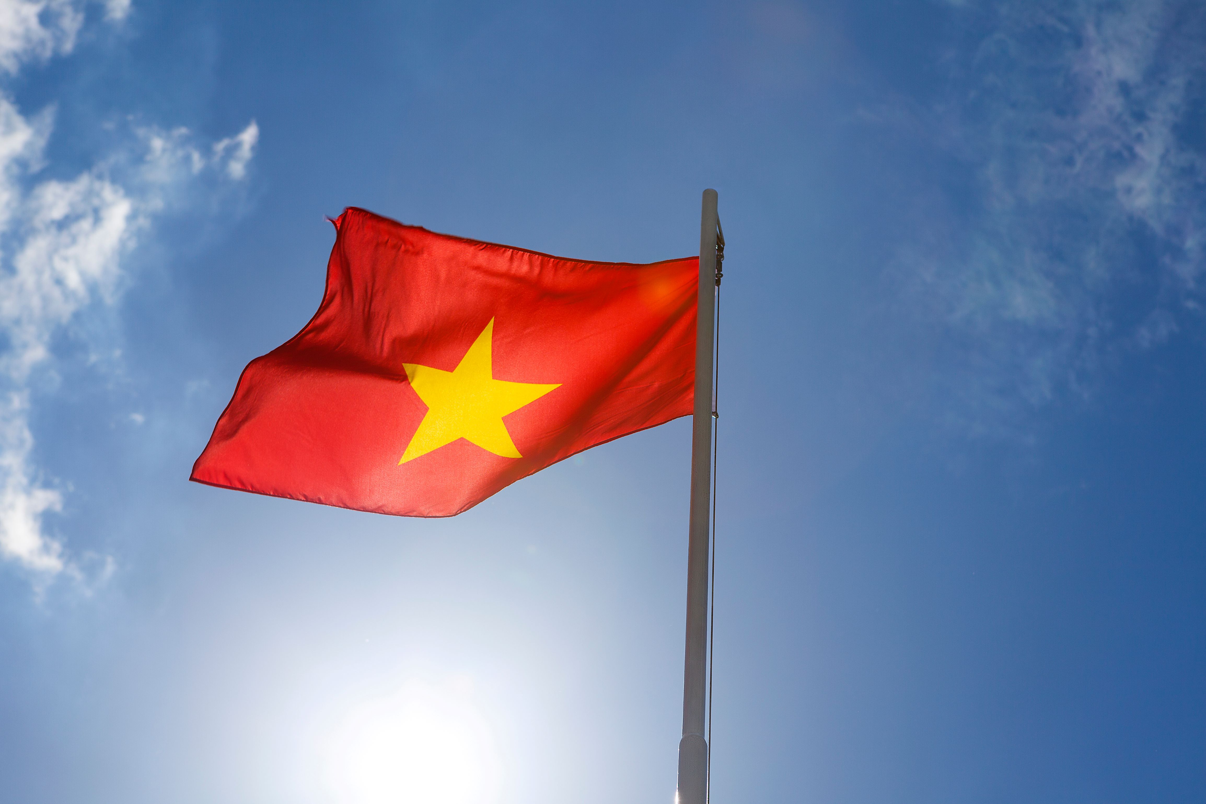 Vietnamflag