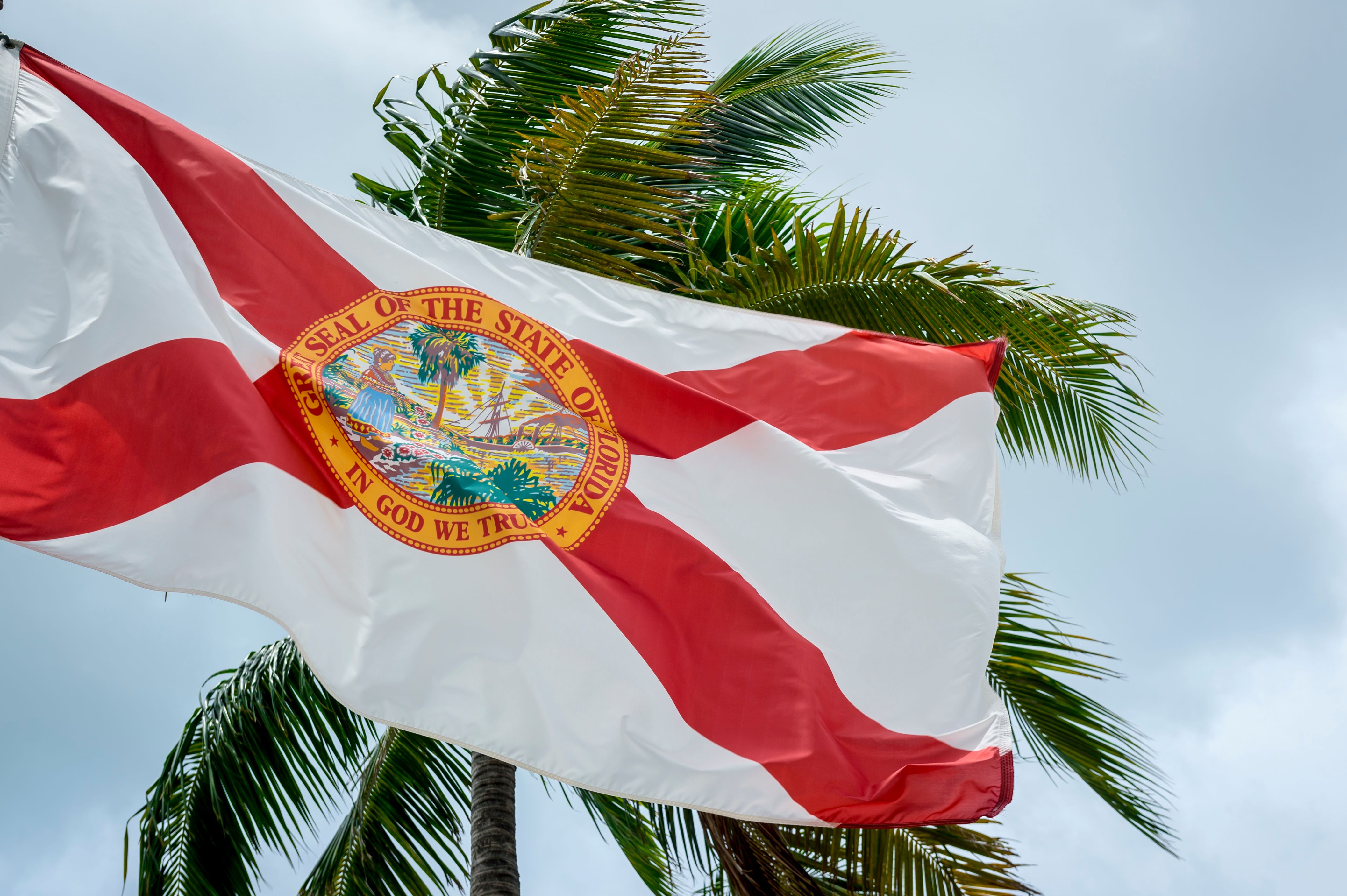 Flag of state of Florida flying in front of a palm tree